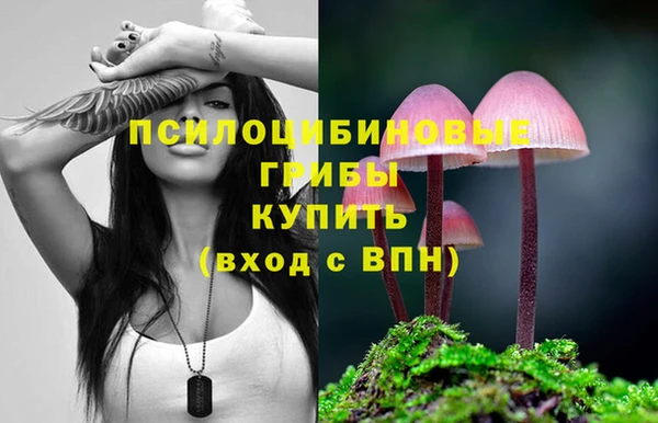 винт Абинск