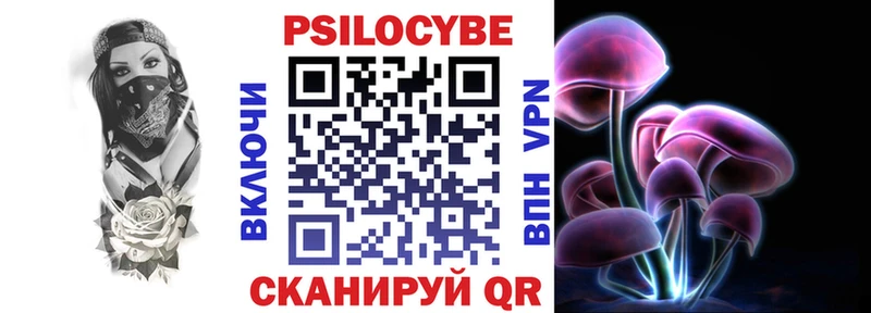 Псилоцибиновые грибы Psilocybe  Ковров 